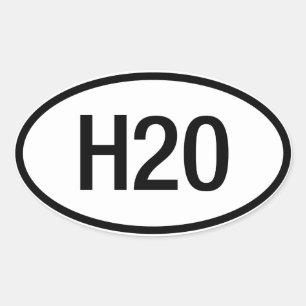 Datsun Nissan H20 Engine Sticker