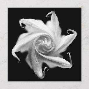 datura flower bud invite