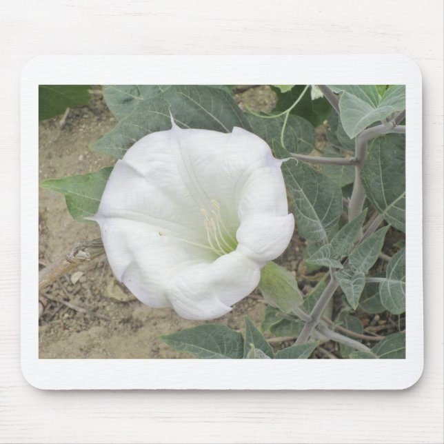 Datura Mouse Mat (Front)