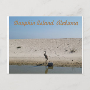 Dauphin Island, Alabama with Blue Heron Postcard