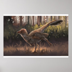 Daurlong Print