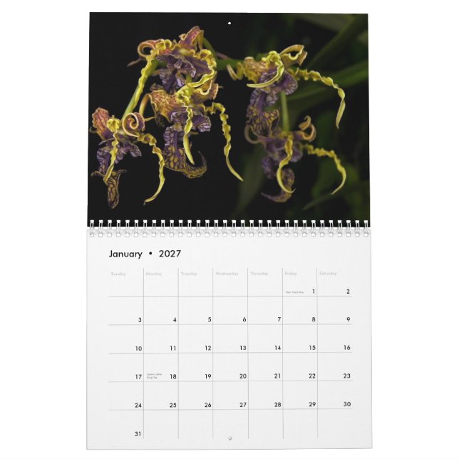 Dave's Garden 2013 Calendar (Jan 2027)