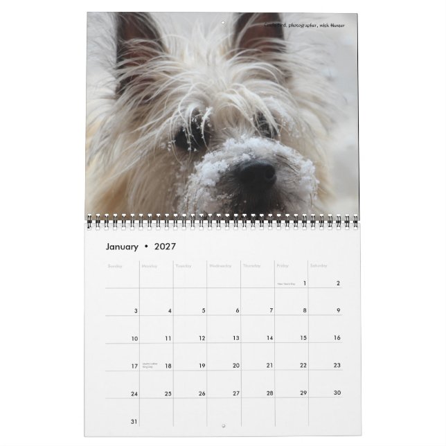 Dave's Garden 2016 Calendar (Jan 2027)