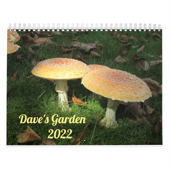Dave's Garden 2022 Calendar (Cover)