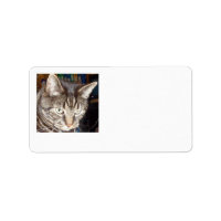 Dave's Watching You Address Labels