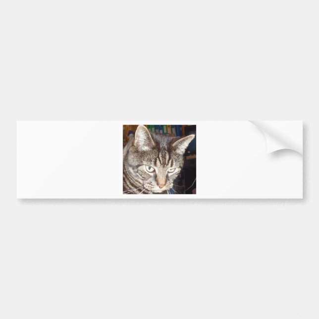 Dave's Watching You Bumper Sticker (Front)