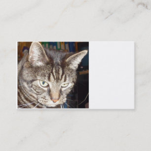 Dave's Watching You Business Cards