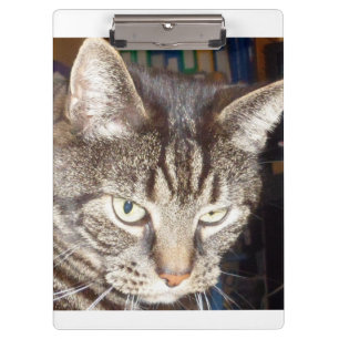 Dave's Watching You Clipboards