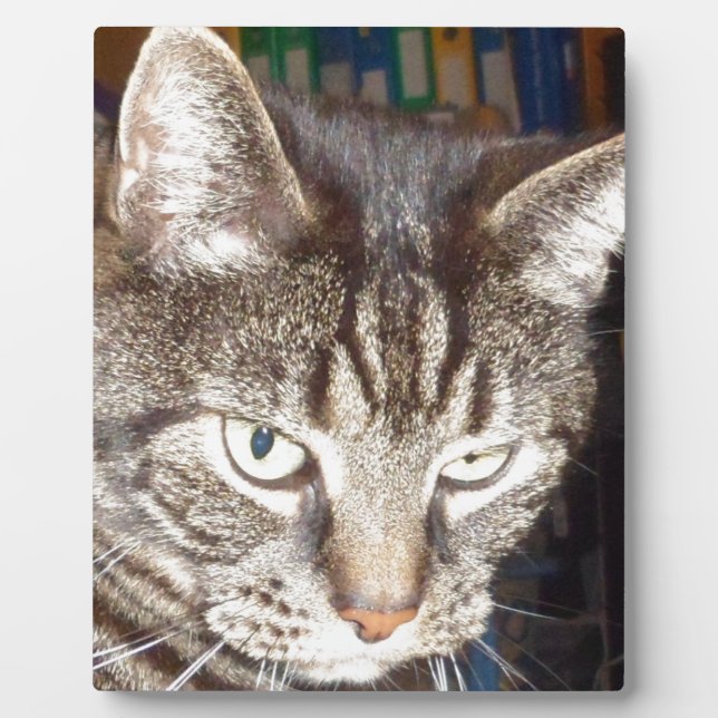 Dave's Watching You Plaque (Front)