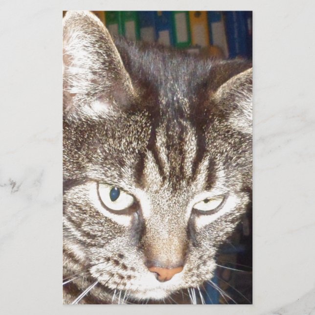 Dave's Watching You Stationery (Front)