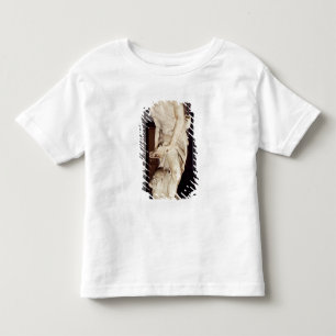 David, 1623-24 toddler T-Shirt