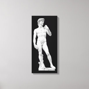 David by Michelangelo Wrapped Canvas