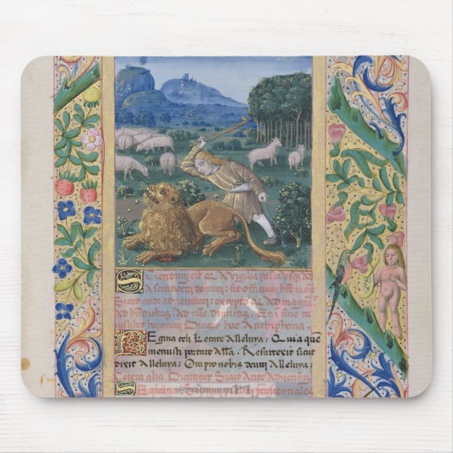 David defending his father's sheep against a mouse mat (Front)