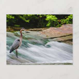 David Fortier River Park, Olmsted Falls, Ohio Postcard