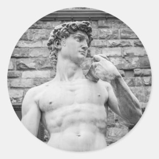 David (Michelangelo) Classic Round Sticker