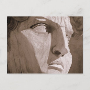 David Postcard