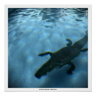 DAVID'S POOL SERIES p05b- 3D Computer ART Poster
