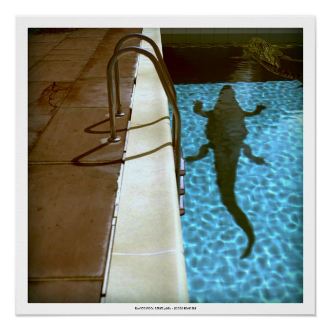 DAVID'S POOL SERIES p08b- 3D Computer ART Poster (Front)