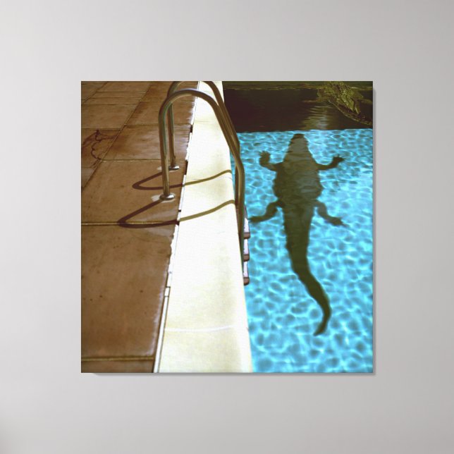 DAVID'S POOL SERIES p08b Canvas (Front)