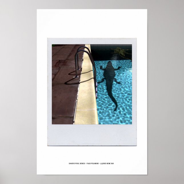 DAVID'S POOL SERIES p08b Poster (Front)
