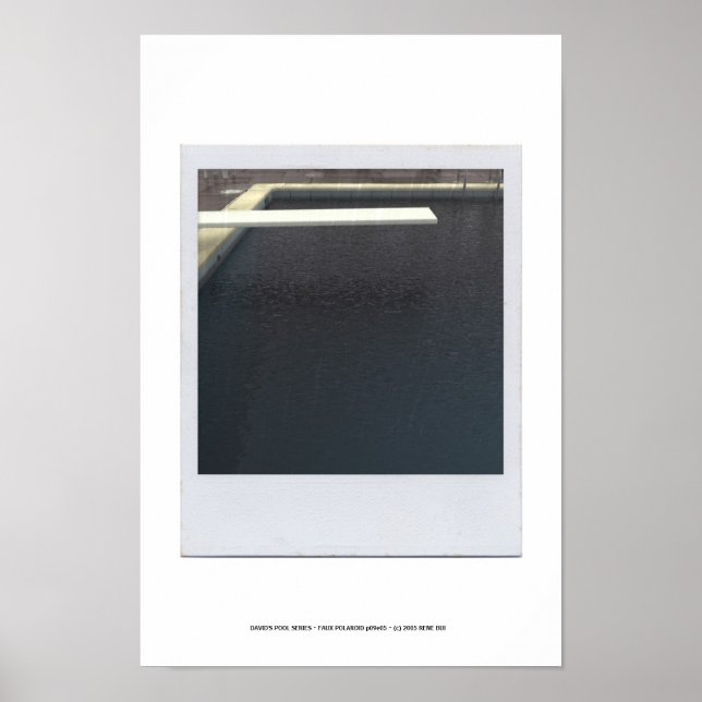 DAVID'S POOL SERIES p09e05 Poster (Front)