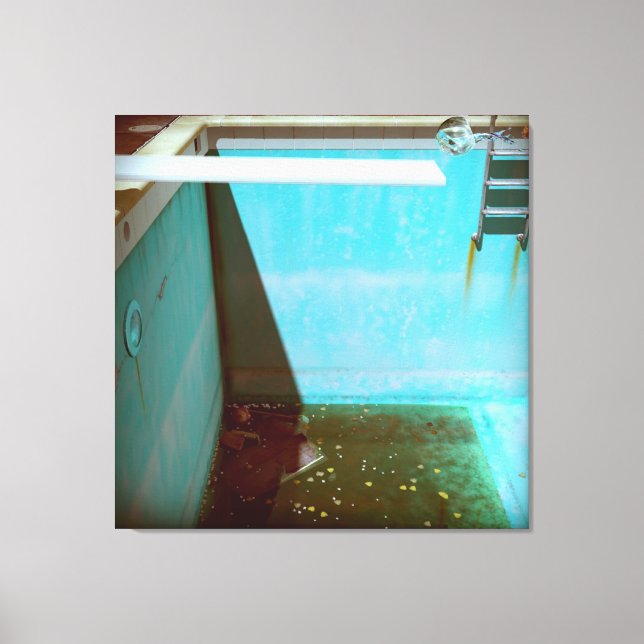 DAVID'S POOL SERIES p09g Canvas (Front)