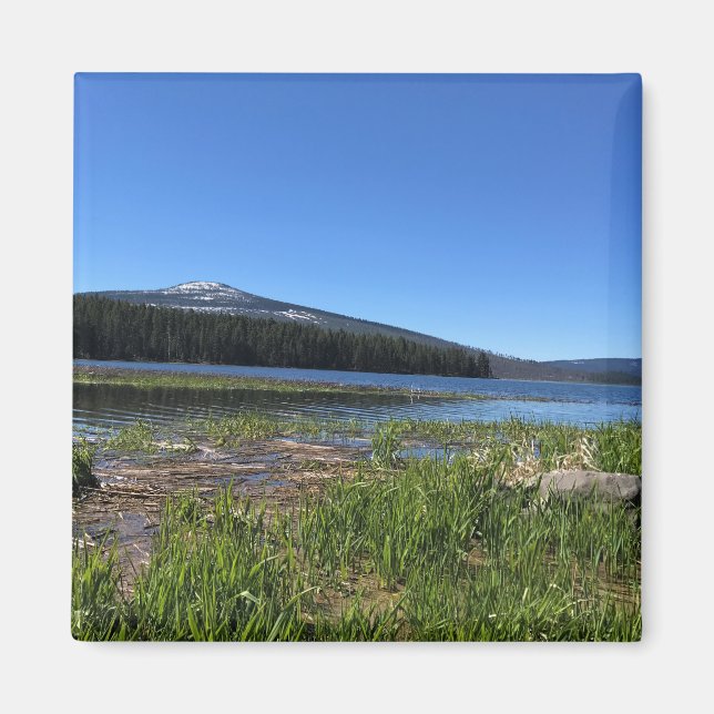 Davis Lake, OR Magnet (Front)