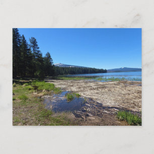 Davis Lake, Oregon Postcard
