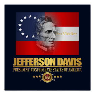 Davis (Southern Patriot) Poster