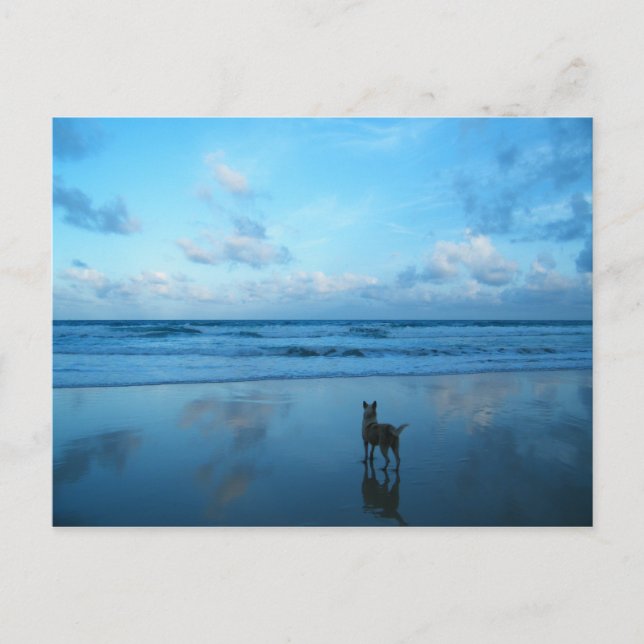 Dawn At Karon Beach, Phuket Island Postcard (Front)