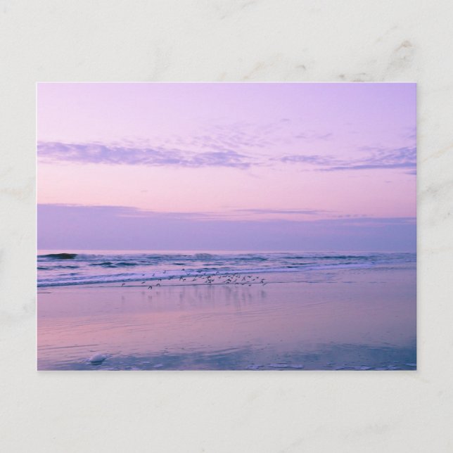 Dawn at the Beach Postcard (Front)