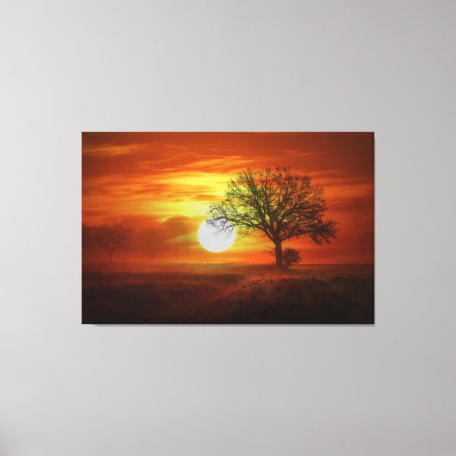 Dawn Canvas Print (Front)