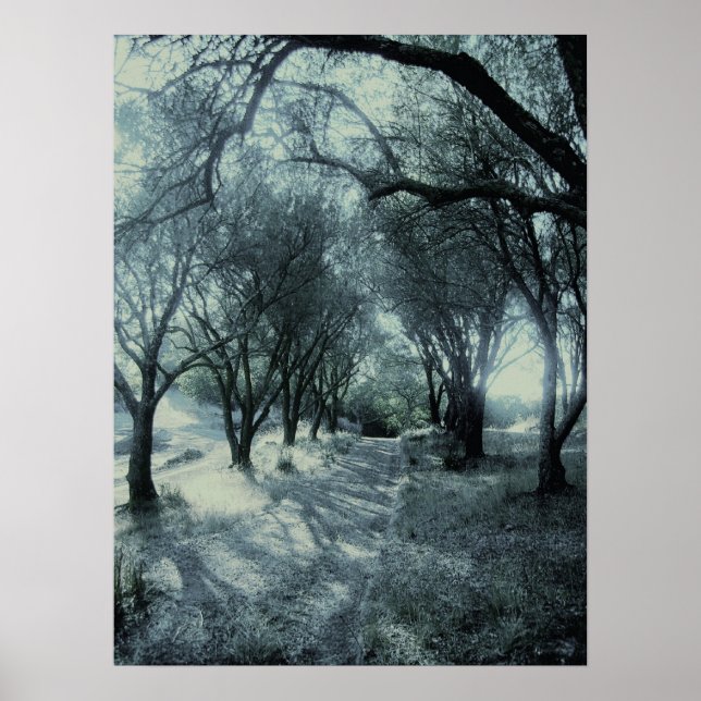 Dawn Fog Poster (Front)