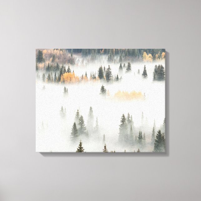 Dawn Ground Fog Covers Mountain Forest Canvas Print (Front)