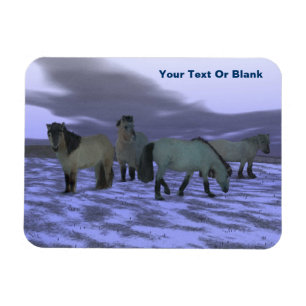 Dawn Horse Magnet