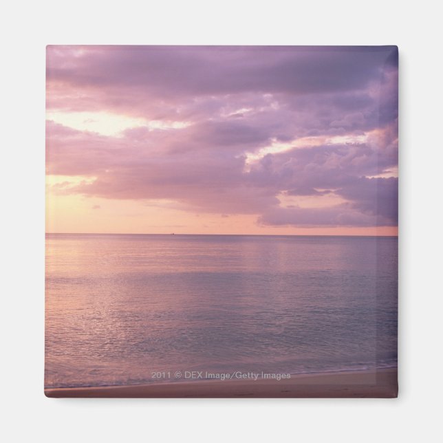 Dawn meets beach magnet (Front)