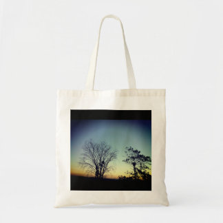 Dawn Park Tote Bag