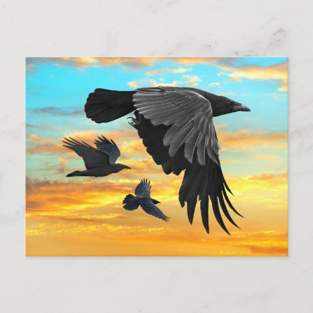 "Dawn Patrol"  Postcard (Front)