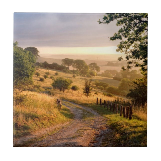 Dawn Sunshine | English Countryside Tile (Front)