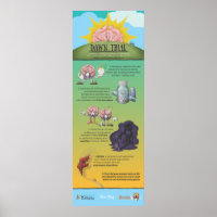 Dawn Trial Infographic