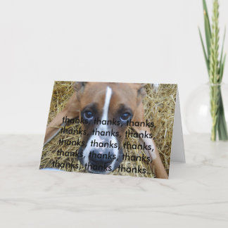Dax 007, thanks, thanks, thanks, thanks, thanks... thank you card