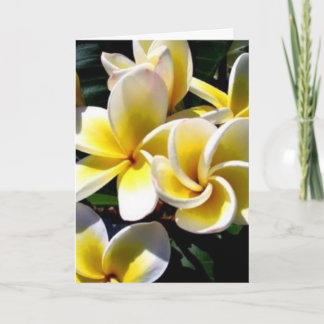 day card