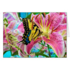 Day Dream ,  Forever Summer (CARD)