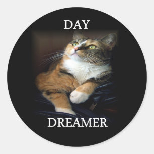 Day Dreamer Sticker