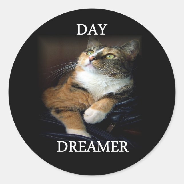 Day Dreamer Sticker (Front)
