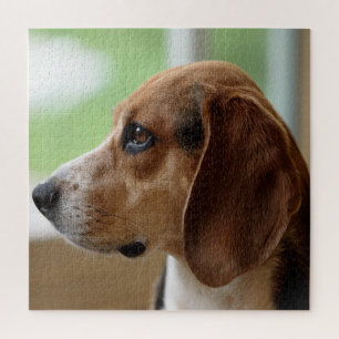 Day Dreaming Beagle Jigsaw Puzzle
