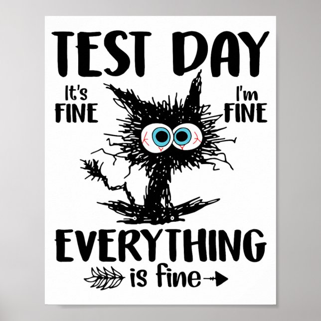 Day Funny Stressed Cat Teacher Student Kids Testin Poster (Front)