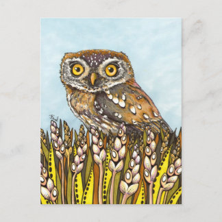 Day is full of joy - pearl-spotted owl postcard