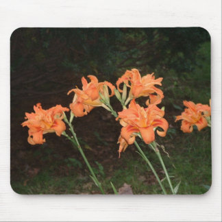 Day lilies mousepad
