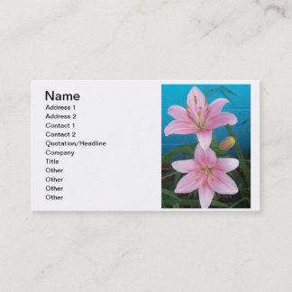 Day Lilly Business Card